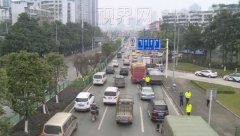 两个小时 十余起开车玩手机被查