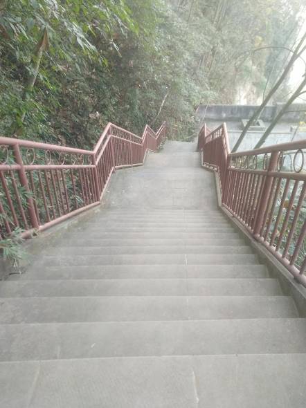 这张照片展现便是潘阿姨扫过的路段，确实很干净，没有遗漏一片落叶和垃圾，让人不忍心踩上去。除了清扫步道，她还要扫大街，但繁重的工作并没有成为她的困扰，当被问及扫地累不累的时候，她说：“不累，锻炼身体挺好的。”