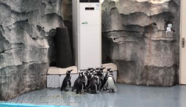 微信截图_20180105140656