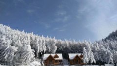 初雪暖阳 奉节高山雪景美如仙境