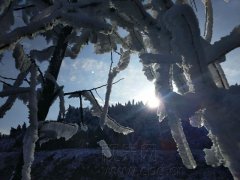 雪霁初晴 摩围山百里森林似童话