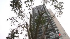 小区楼下搭灵堂 死者家属还请来专业哭丧