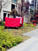 小区绿化带变“晾晒场”  大树秒变“晾衣架”