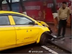 “羚羊”为躲避小狗  猛打方向撞上大树