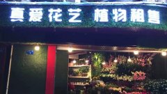 生活服务丨真爱花艺、植物租售